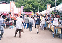 Karakawa Festival