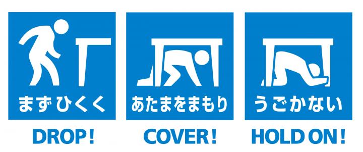 まず低く、頭を守り、動かない