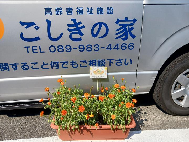 ごしき2