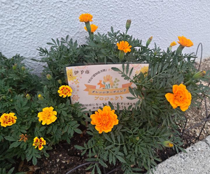 伊予銀行郡中支店1