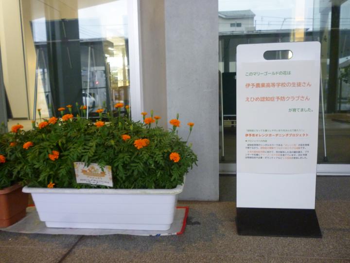 伊予農２