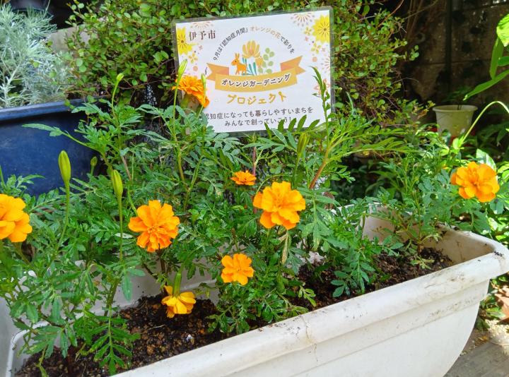 愛媛医療生協 伊予北支部