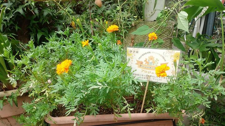 愛媛医療生協 松前支部