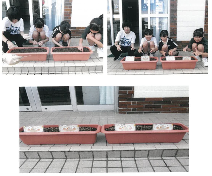 扶桑会館