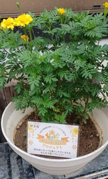 愛媛医療生協伊予ブロック