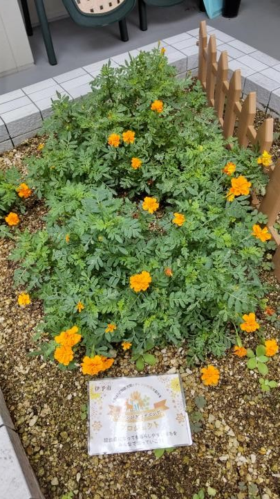 ケアハウス伊予あいじゅ