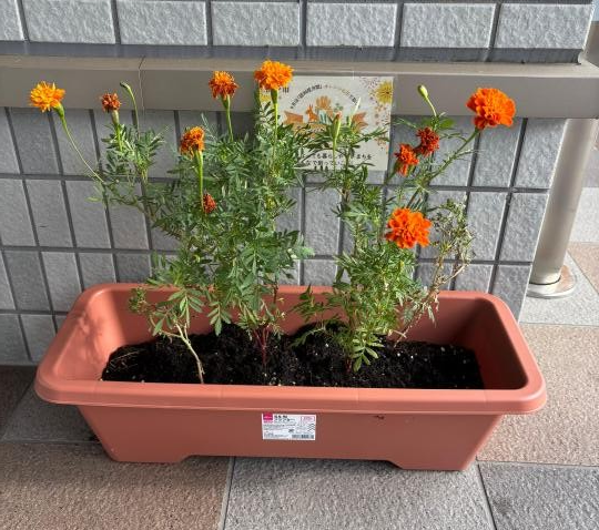 愛媛信用金庫