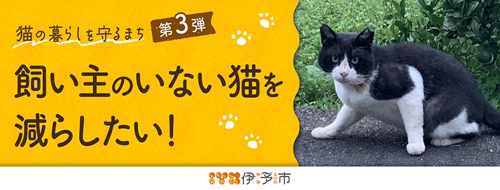 クラファン(ネコ)