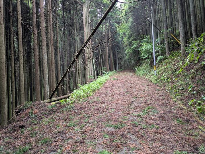 道路荒れ3