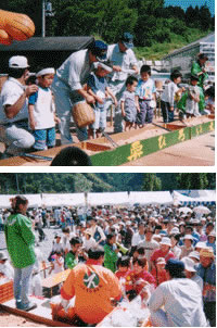 Nakayama Chestnut Festival