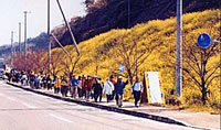 Sea Breeze Walk and Flower Convention