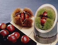 Nakayama Chestnuts