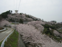 Mount Tagami Viewing Platform