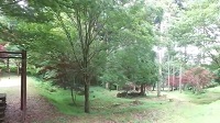 秦皇山森林公園サムネイル画像